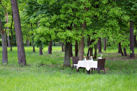 9 powodów, dla których warto zorganizować wesele w hotelu Styl życia, LIFESTYLE - Ślub to jedno z najważniejszych wydarzeń w życiu. Dlatego warto powierzyć ten obowiązek doświadczonej osobie, jaką jest hotelarz. Dziewięć powodów, dla których warto zorganizować wesele w hotelu podaje Małgorzata Kot, Zastępca Dyrektora Z-Hotel Business & Spa z Otwocka.