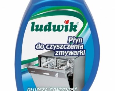Święta bez niespodzianek, czyli jak zadbać o sprzęt AGD z Ludwikiem