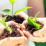 Znajdź zieloną planetę – bezpłatne prelekcje i warsztaty