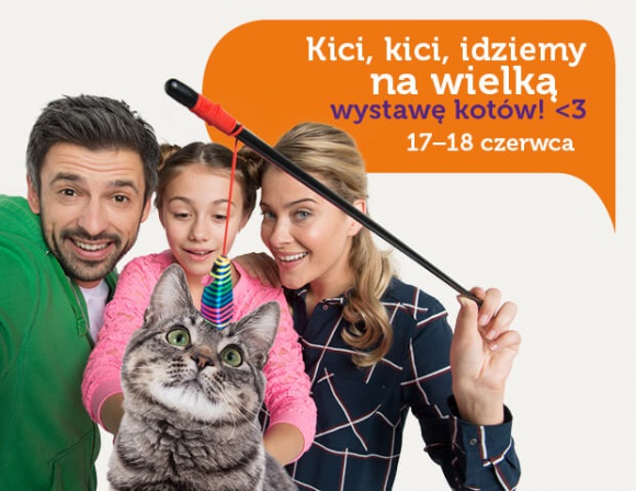 Kocie piękności w Europie Centralnej Styl życia, LIFESTYLE - Już 17 i 18 czerwca Europa Centralna w Gliwicach zaprasza na Międzynarodową Wystawę Kotów Rasowych, podczas której poznamy najbardziej sympatyczne i urocze miauczące piękności