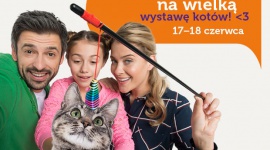 Kocie piękności w Europie Centralnej Styl życia, LIFESTYLE - Już 17 i 18 czerwca Europa Centralna w Gliwicach zaprasza na Międzynarodową Wystawę Kotów Rasowych, podczas której poznamy najbardziej sympatyczne i urocze miauczące piękności