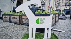 Lublin to miasto, które inspiruje Styl życia, LIFESTYLE - Lublin jest #niefiltrowany, bo jest prawdziwy, naturalny i ma swój charakter. Jego mieszkańcy słyną z otwartości, a swoje miasto kochają za jego atmosferę - to główne wnioski z gry miejskiej „Odkrywamy DNA Lublina”, atrakcji Lubelskiego Święta Młodego Cydru.