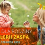 Dzień dla Rodziny w Galerii Zaspa