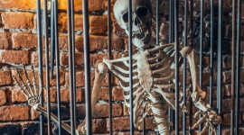 5 pomysłów na spędzenie Halloween