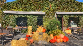 Mini farma dyń – jesienny klimat w DESEO Styl życia, LIFESTYLE - Przez najbliższe dwa tygodnie w DESEO Patisserie & Chocolaterie przy Burakowskiej warszawiacy mają okazję skosztować słodkości oraz wypić kawę w niezwykłej scenerii, którą tworzy mała farma dyń.