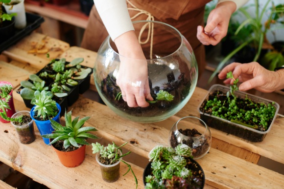 Stwórz las i zabierz go do domu Styl życia, LIFESTYLE - Stwórz miniaturowy las w słoiku i ciesz się piękną przyrodą we własnym domu. Agora Bytom zaprasza dorosłych i dzieci na bezpłatne warsztaty, które odbędą się w dniach 5 i 6 kwietnia. Trwają zapisy!
