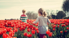 Czas na zmiany. 4 rzeczy, które warto zrobić tej wiosny Styl życia, LIFESTYLE - Wiosna to okres wielkich przemian – nie tylko w naturze. Coraz dłuższe i cieplejsze dni budzą w nas chęć do życia, ale również pragnienie zmian. Jest to więc idealny moment, by pomyśleć o sobie i wprowadzić w swoim życiu małą rewolucję.