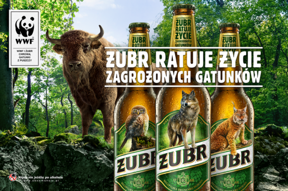 Żubr znika z etykiet… na rzecz zagrożonych gatunków Styl życia, LIFESTYLE - Żubr – najpopularniejsze piwo w Polsce, a zarazem symbol Podlasia, wystartował z wyjątkową akcją, której celem jest ochrona zagrożonych gatunków zwierząt. Aby uzmysłowić skalę zagrożenia, Żubr zniknie z puszek i butelek piwa, ustępując miejsca wilkowi, rysiowi i sóweczce.