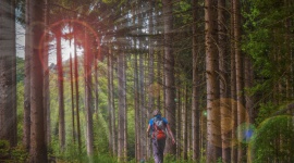 Urlop w stylu eko. O czym pamiętać podczas wakacji na łonie natury Styl życia, LIFESTYLE - Rezygnacja z zagranicznych wyjazdów to dla części osób doskonała okazja do zwiedzenia niepoznanych dotąd regionów Polski. Wybierając tego rodzaju miejsca, warto sobie przypomnieć, jak postępować, by nie wyrządzić szkody przyrodzie.