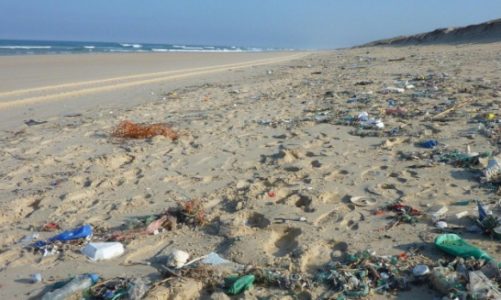 Wakacje w zgodzie z naturą. Nie zmieniaj kurortów w śmietniska